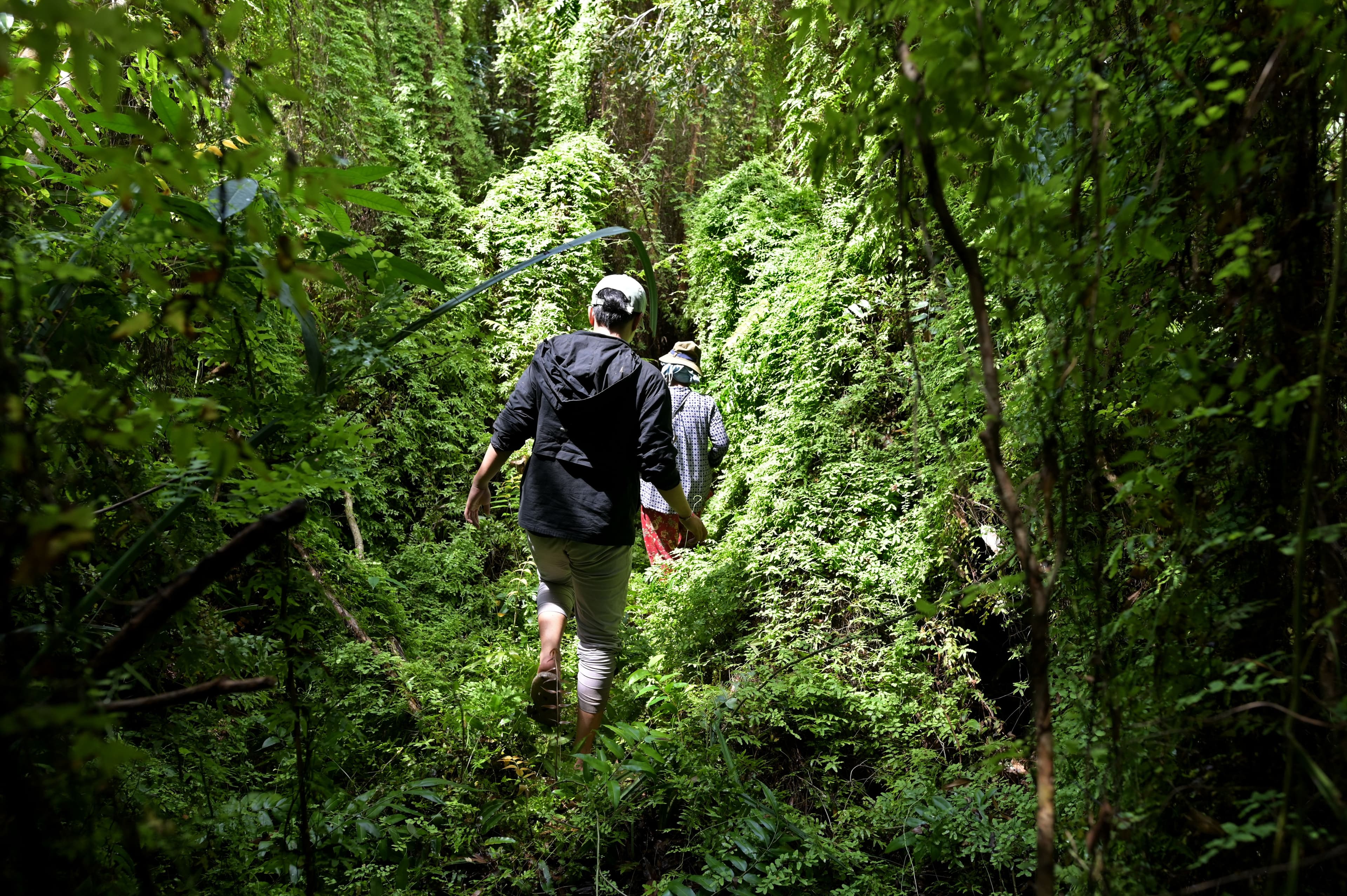 yep-academy-head-section