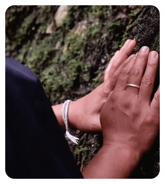 Hands in nature