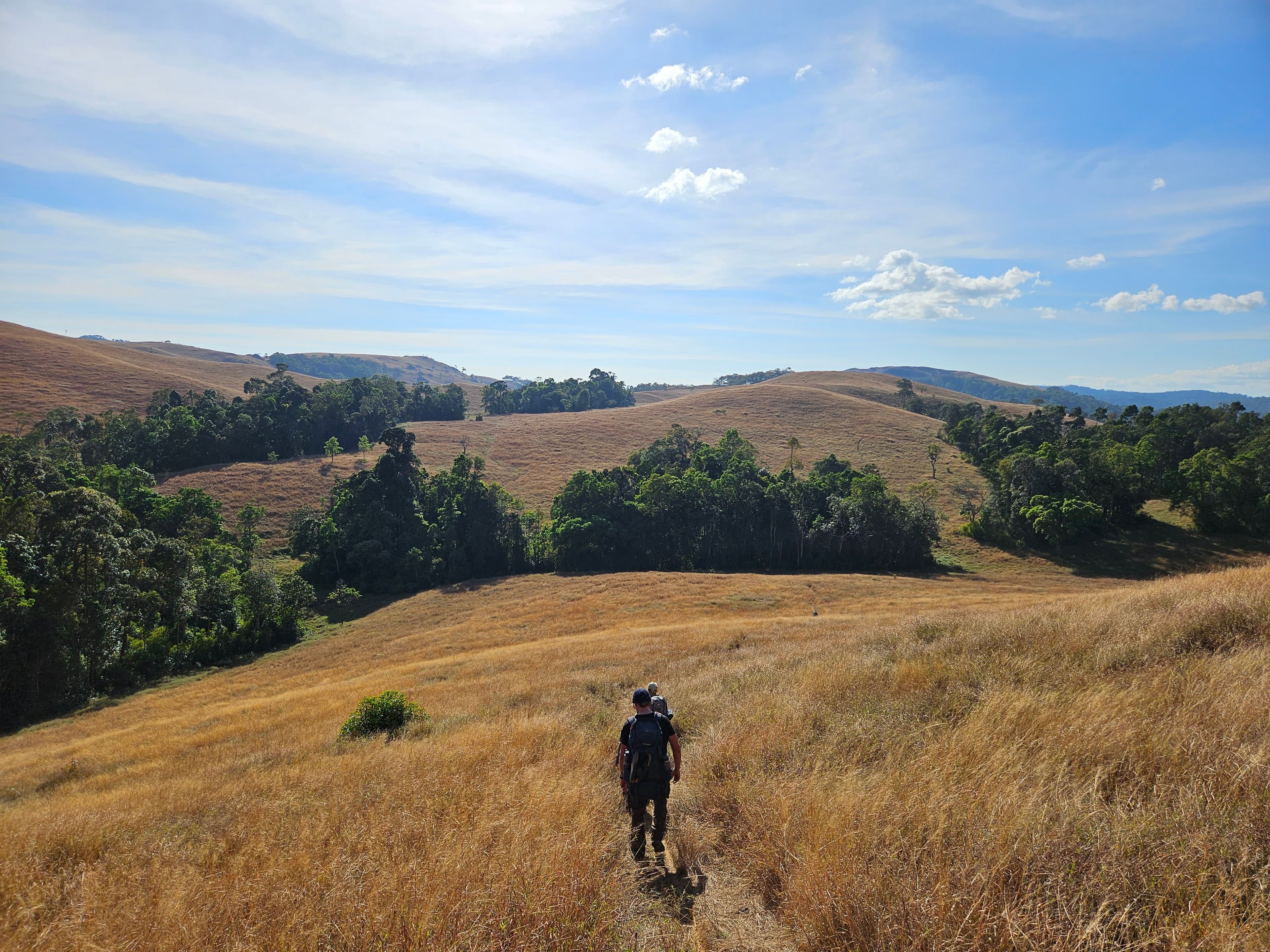 Grounding in Nature When Things Feel Overwhelming
