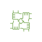 Green plant close-up