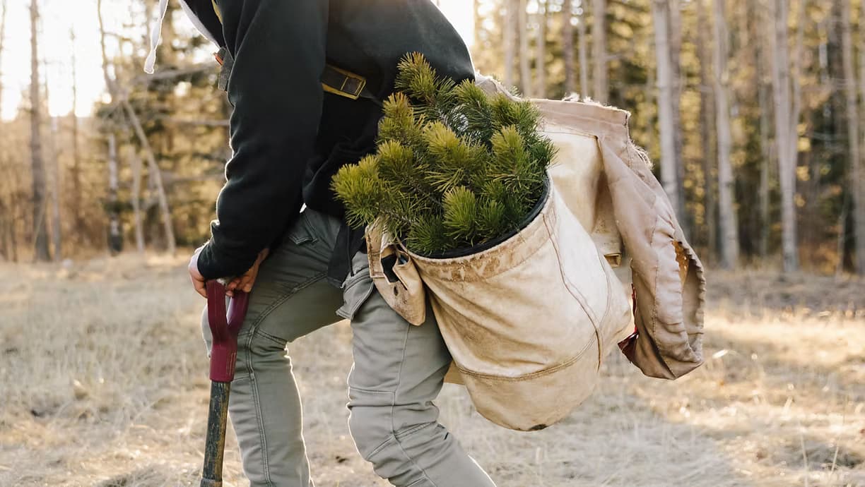 Basic: Environment & Empowerment Facilitation