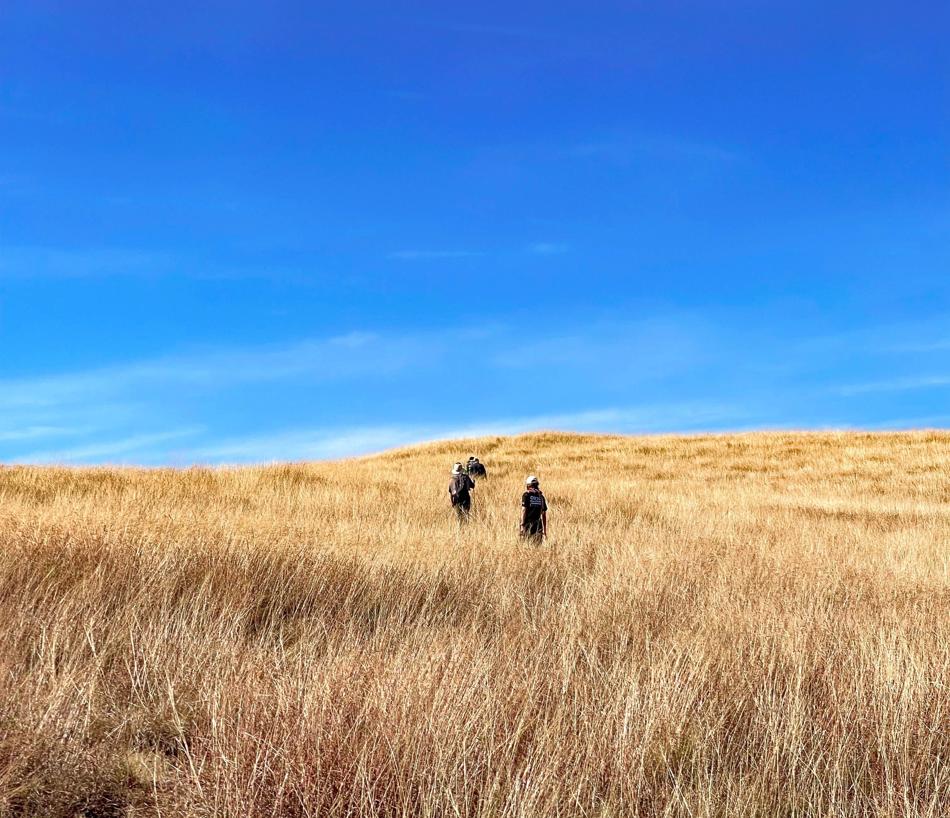 yep-academy-head-section