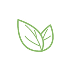 Adult & Youth Program