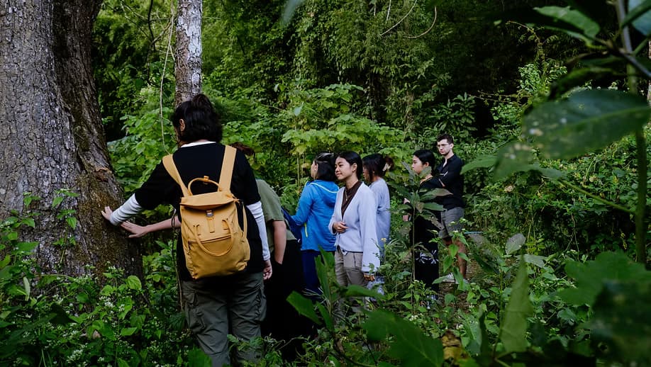 Outdoor Facilitation: Basic Skills & Foundations