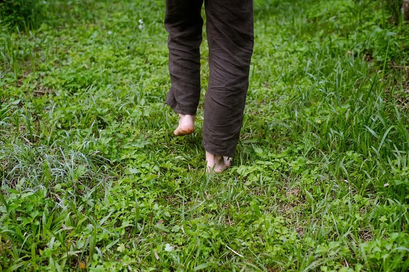 e03823_6bcad817ed2d4d00a5fa3e6ce3cab834~mv2 (1).avif