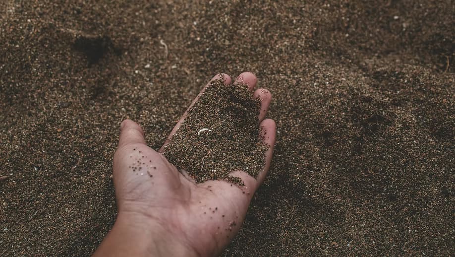 Down to Earth: Soil for Climate Action