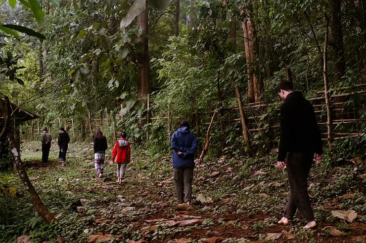 Nature Praxis: Understanding the Essentials of Ecotherapy