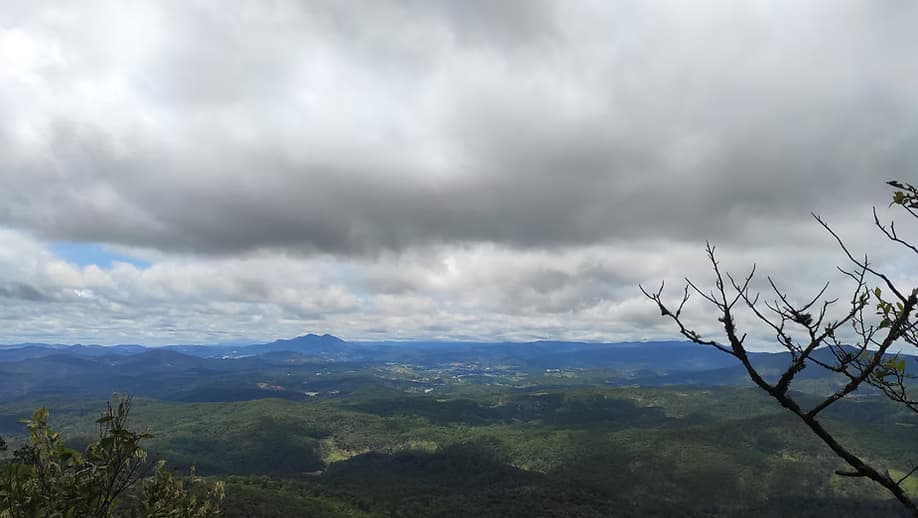 Basic Outdoor Skills