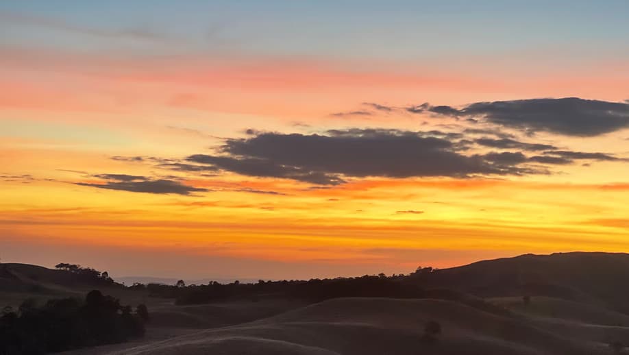 Reflect & Reset: New Year Camp