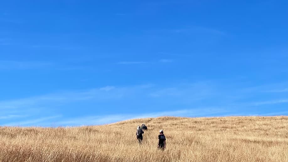 The Unhurried Trek: A Journey to Clarity in Nature's Gentle Pace