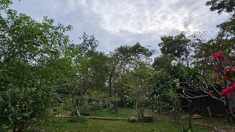 The YEP Communal Camp: 20 Hours of Airplane Mode